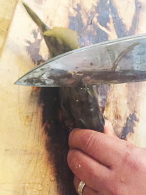 夏〜秋〜冬にかけて美味しい魚｜カワハギの肝和えが簡単に出来るお魚の調理法